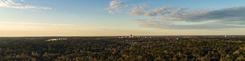 An aerial view of the Tallahassee skyline