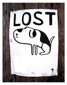 Lost pet poster