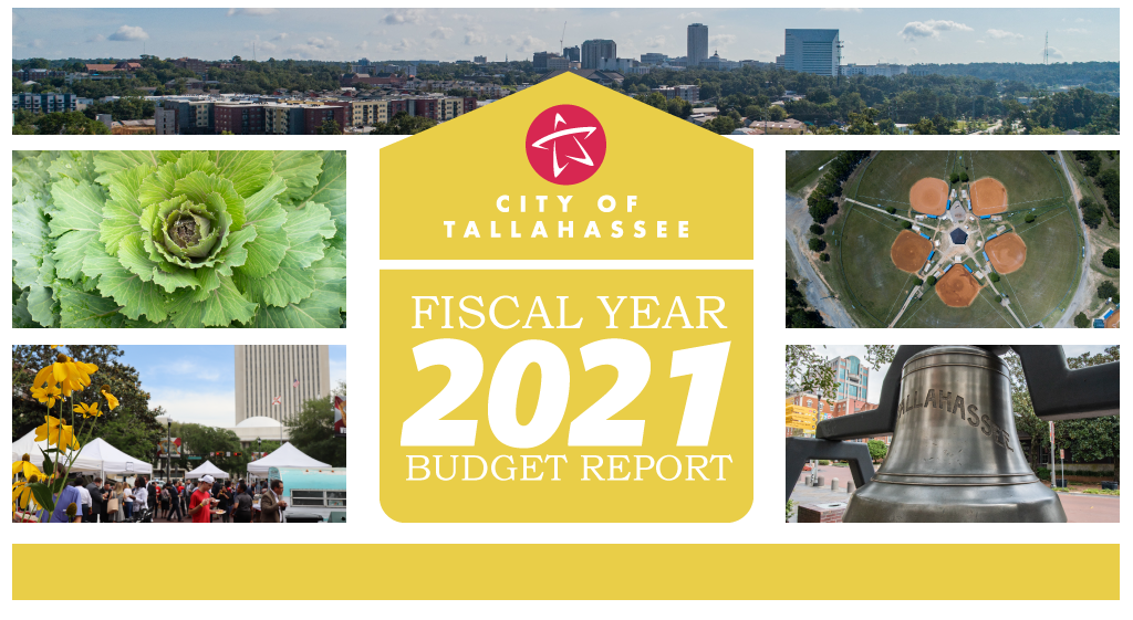 Fiscal Year 2021 Budget Report