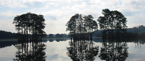 a serene looking lake